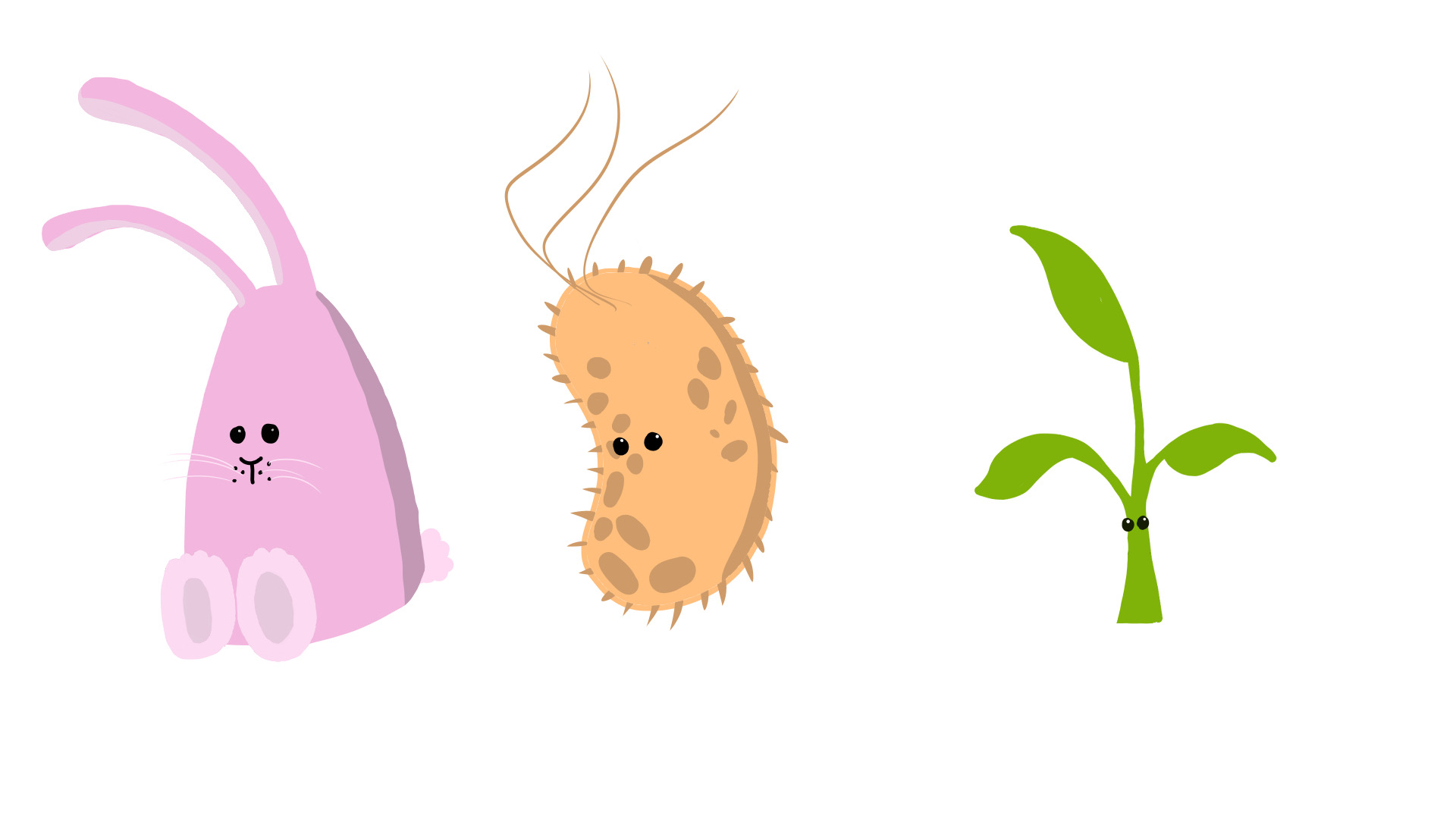 Character illustrations